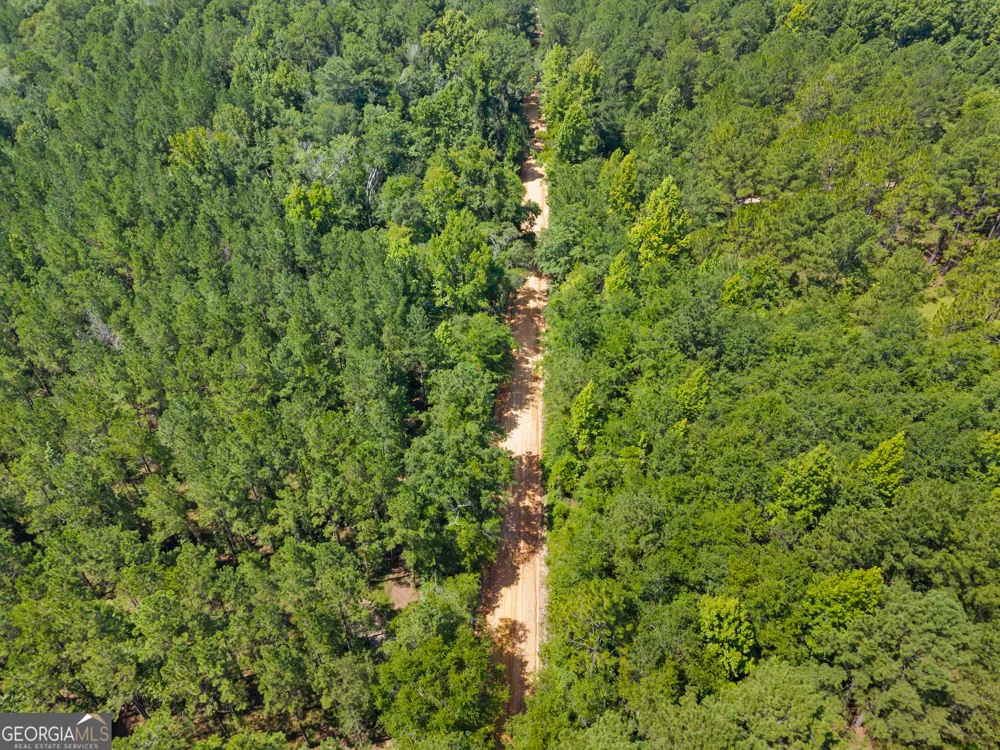 1214 Ga Highway 21 E Millen, GA 30442