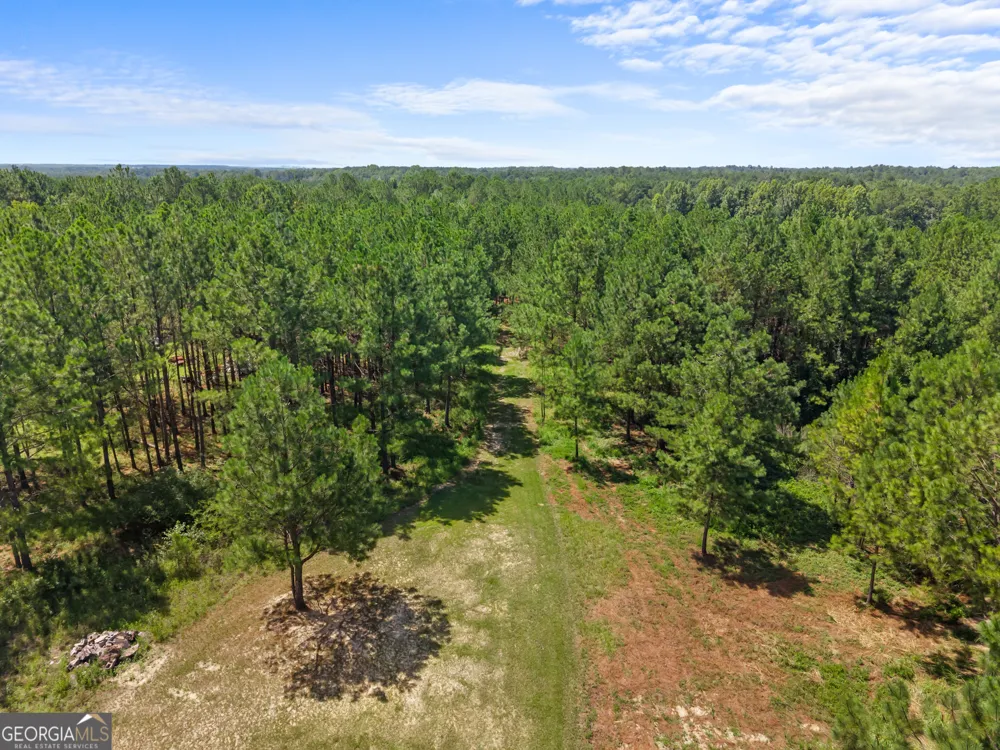 1214 Ga Highway 21 E Millen, GA 30442