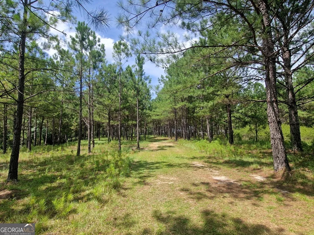 1214 Ga Highway 21 E Millen, GA 30442