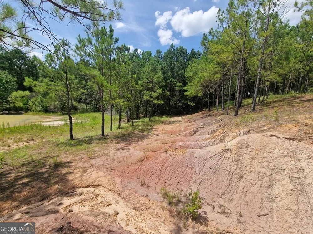 1214 Ga Highway 21 E Millen, GA 30442