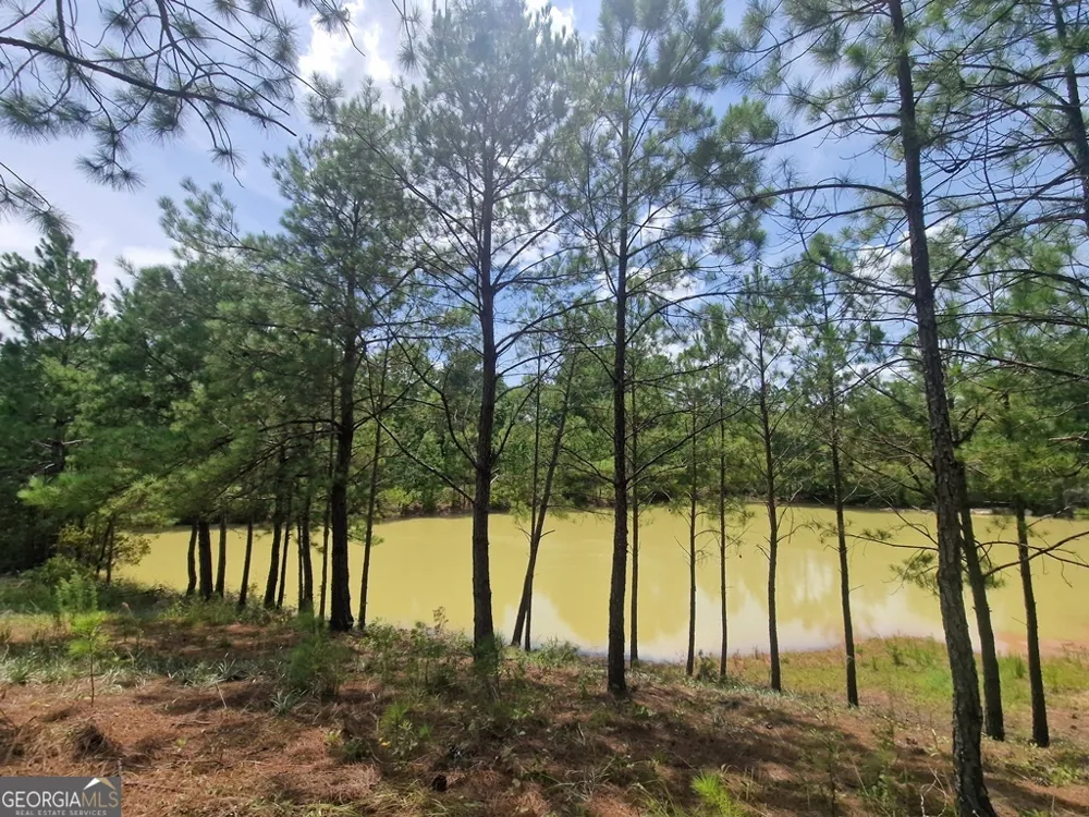 1214 Ga Highway 21 E Millen, GA 30442