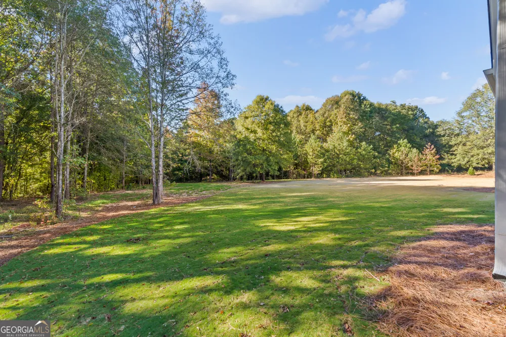 195 Farr Lake DR Tyrone, GA 30290