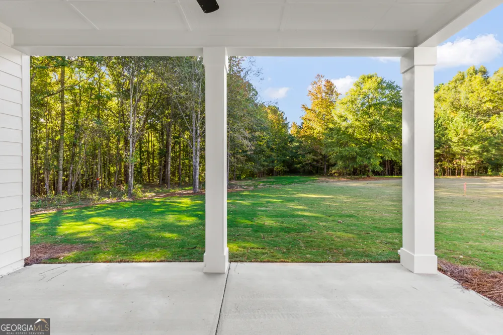 195 Farr Lake DR Tyrone, GA 30290