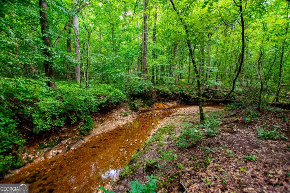 4624 Jacksonville RD Tallapoosa, GA 30176