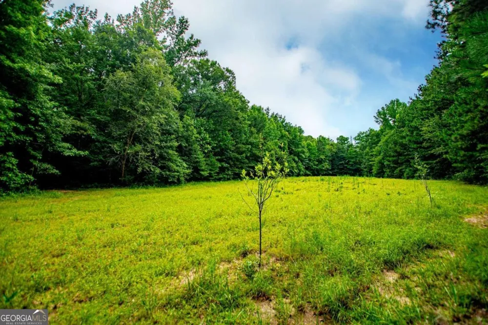 4624 Jacksonville RD Tallapoosa, GA 30176
