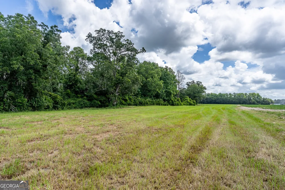 0 Nesbitt RD Odum, GA 31555