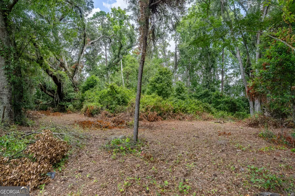 0 Nesbitt RD Odum, GA 31555