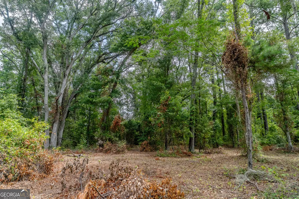 0 Nesbitt RD Odum, GA 31555