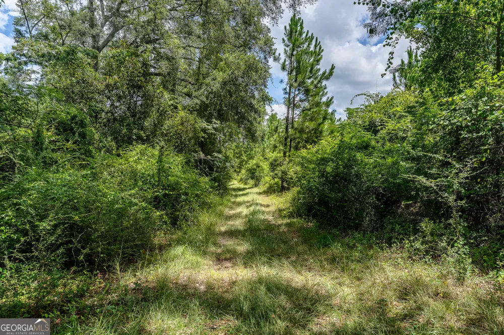 0 Nesbitt RD Odum, GA 31555