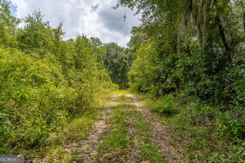 0 Nesbitt RD Odum, GA 31555