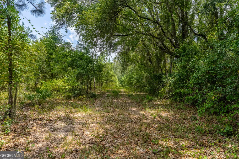 0 Nesbitt RD Odum, GA 31555