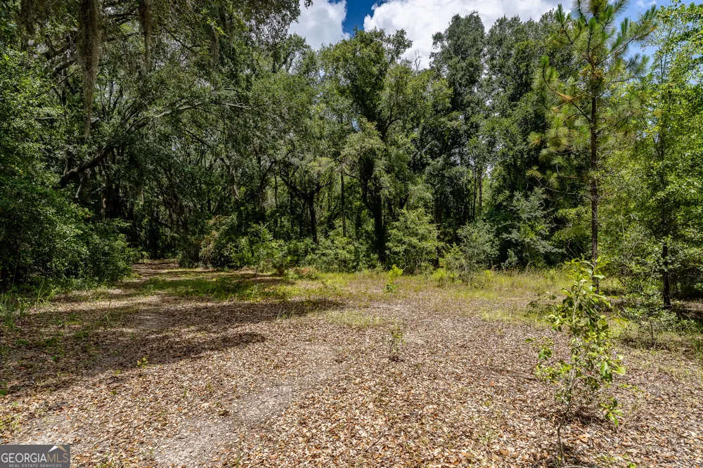 0 Nesbitt RD Odum, GA 31555