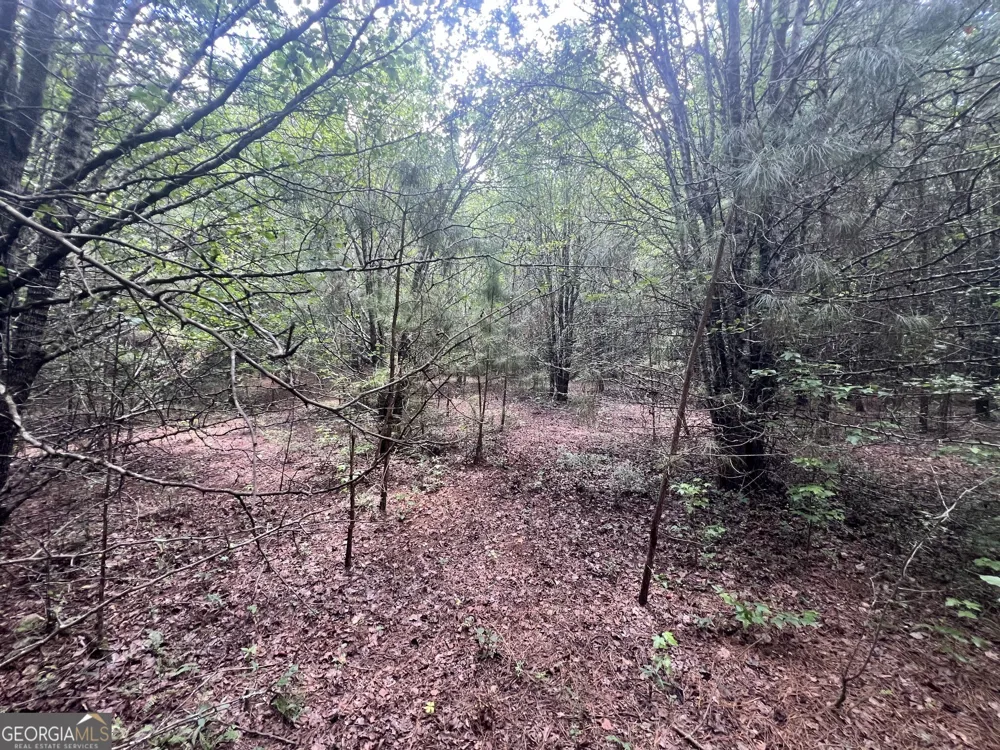 0 Seabolt DR Locust Grove, GA 30248
