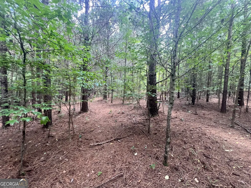 0 Seabolt DR Locust Grove, GA 30248