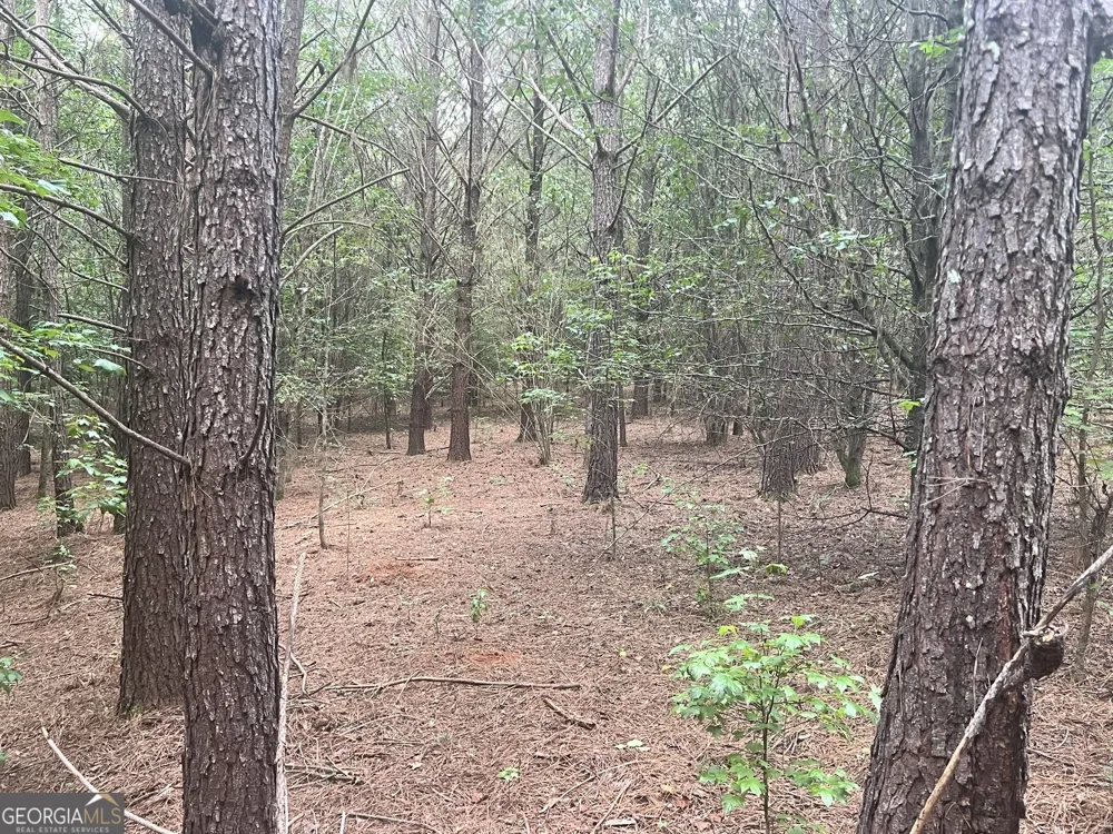 0 Seabolt DR Locust Grove, GA 30248