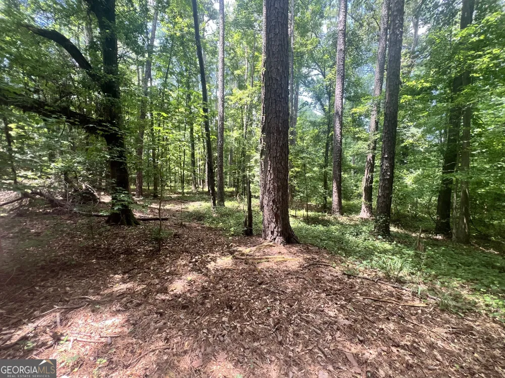 0 Seabolt DR Locust Grove, GA 30248