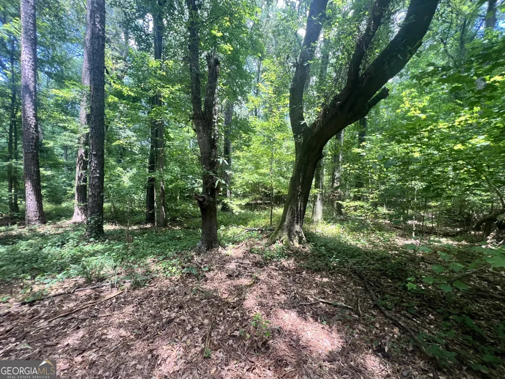 0 Seabolt DR Locust Grove, GA 30248