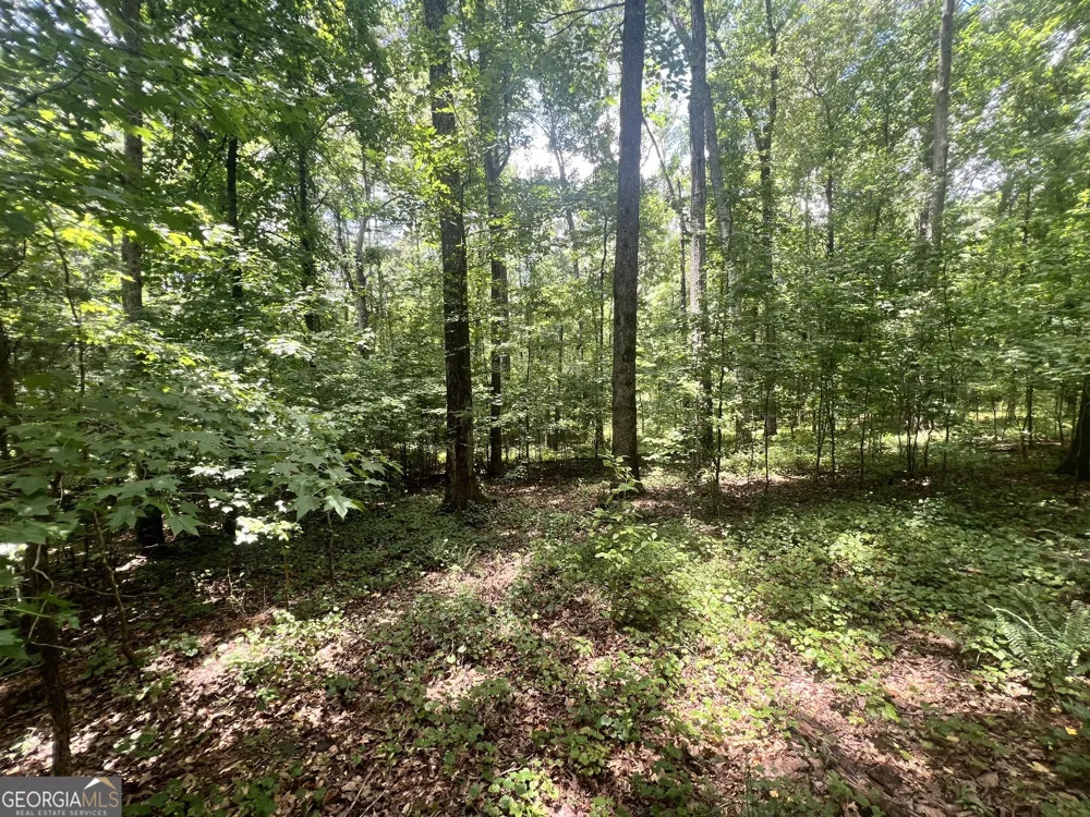 0 Seabolt DR Locust Grove, GA 30248