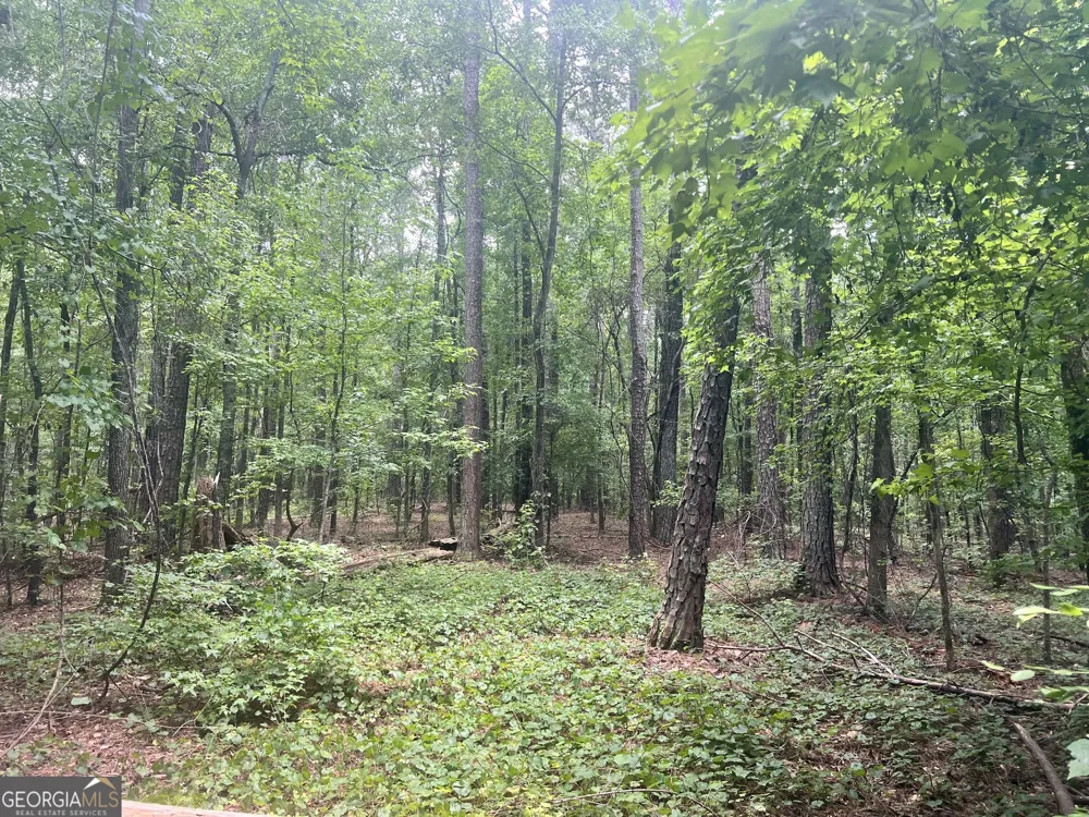 0 Seabolt DR Locust Grove, GA 30248