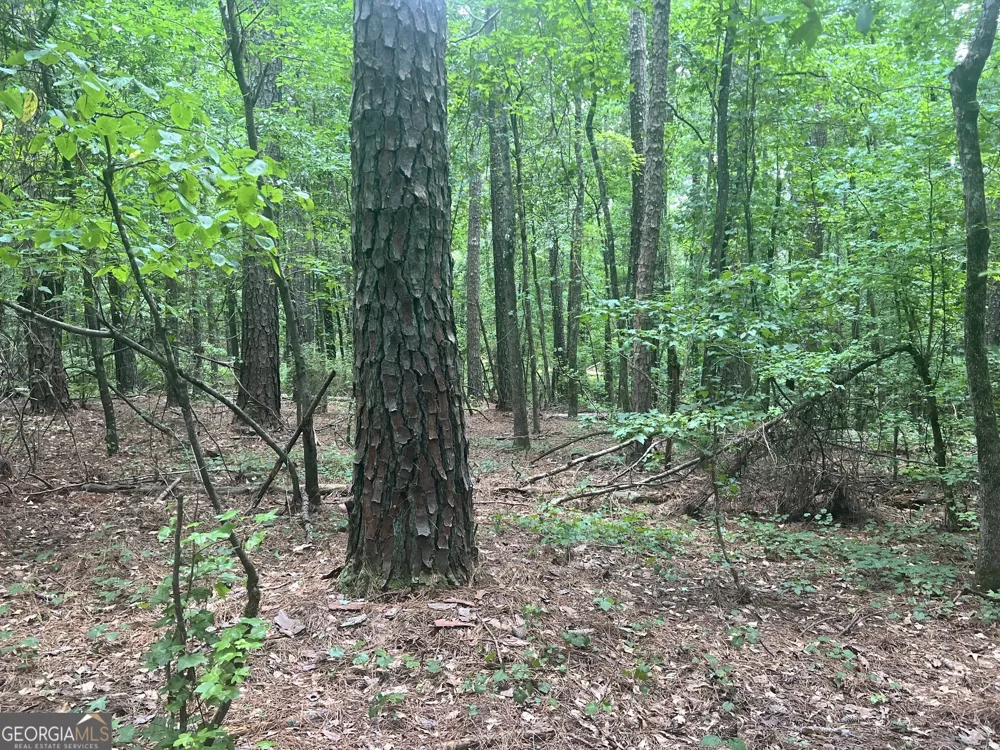 0 Seabolt DR Locust Grove, GA 30248
