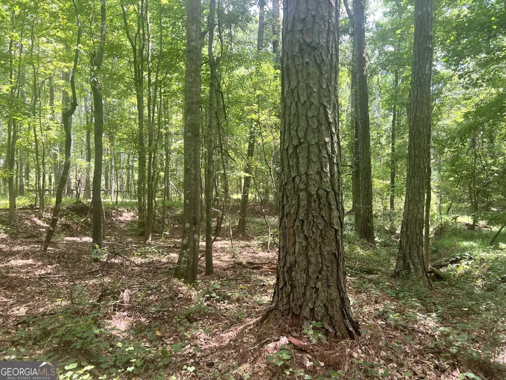 0 Seabolt DR Locust Grove, GA 30248