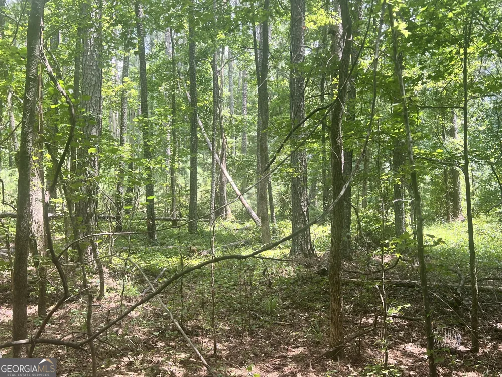 0 Seabolt DR Locust Grove, GA 30248