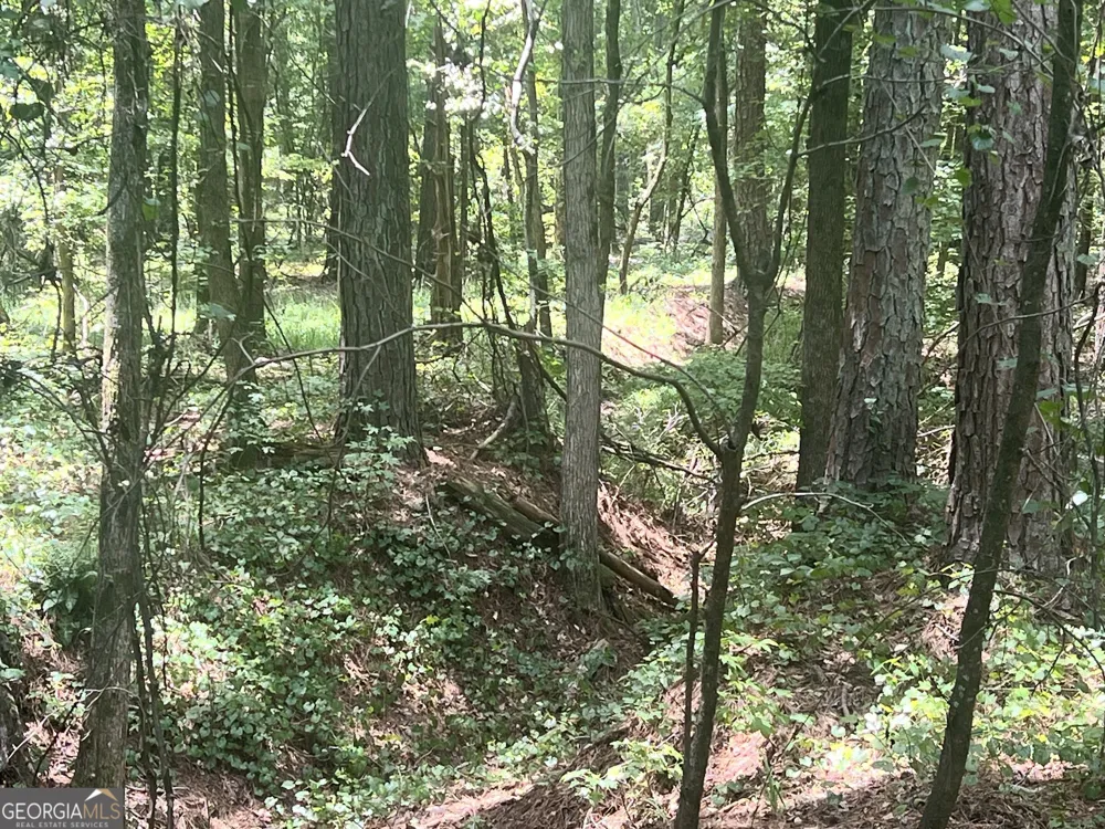 0 Seabolt DR Locust Grove, GA 30248
