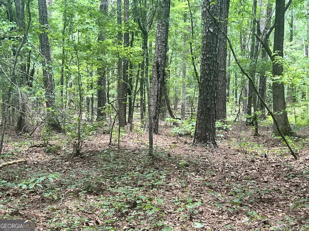 0 Seabolt DR Locust Grove, GA 30248
