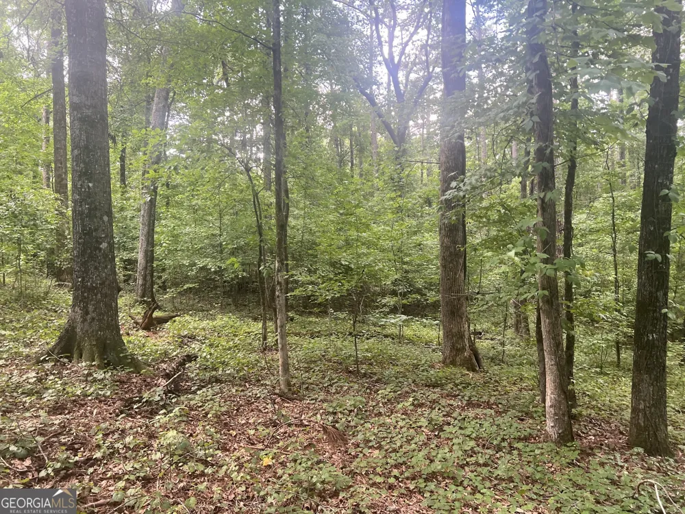 0 Seabolt DR Locust Grove, GA 30248