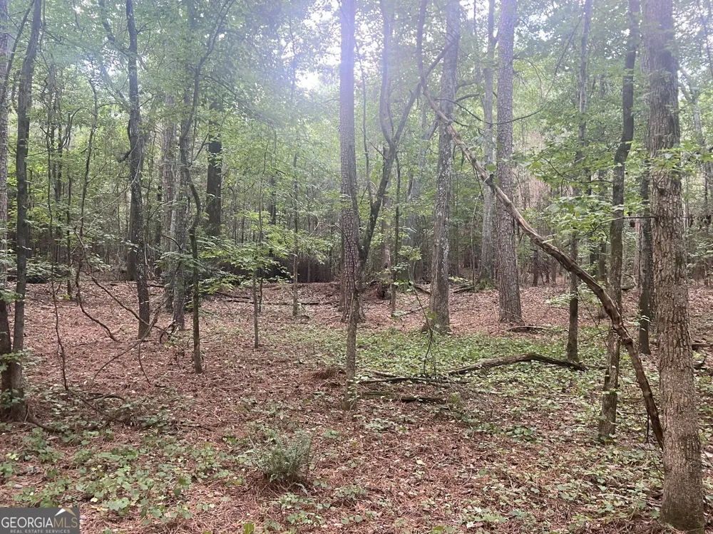 0 Seabolt DR Locust Grove, GA 30248