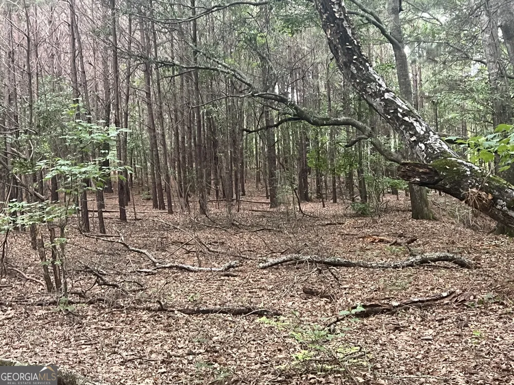 0 Seabolt DR Locust Grove, GA 30248