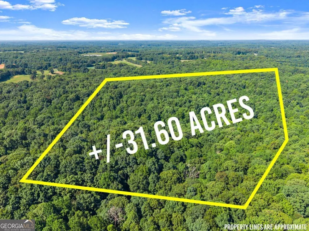0 Prospect RD Carnesville, GA 30521