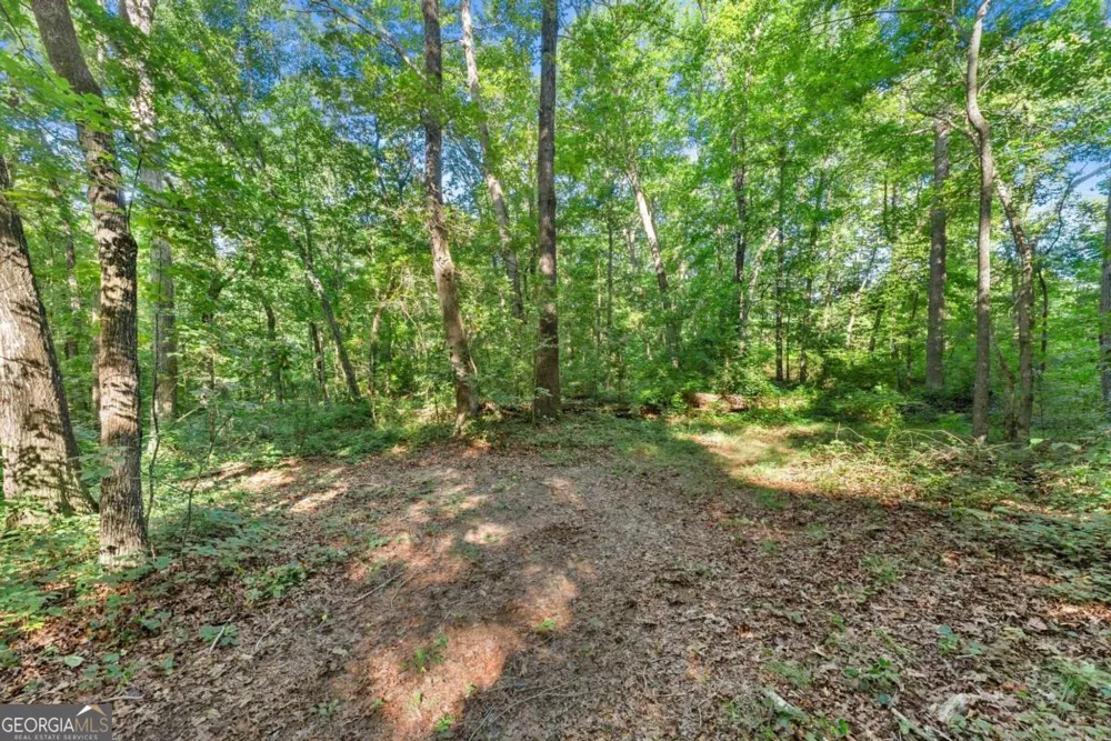 0 Prospect RD Carnesville, GA 30521