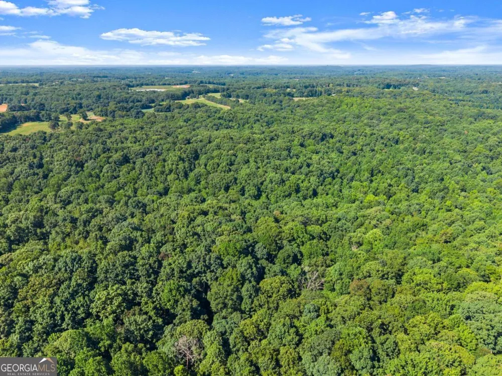 0 Prospect RD Carnesville, GA 30521