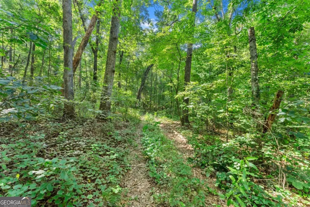 0 Prospect RD Carnesville, GA 30521