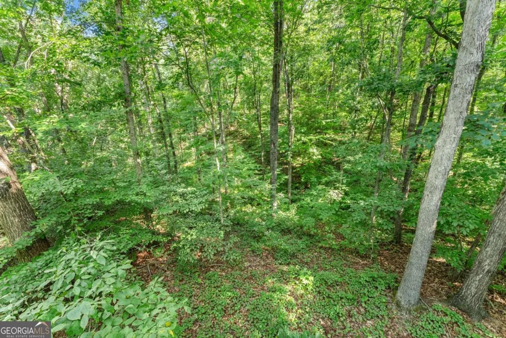 0 Prospect RD Carnesville, GA 30521