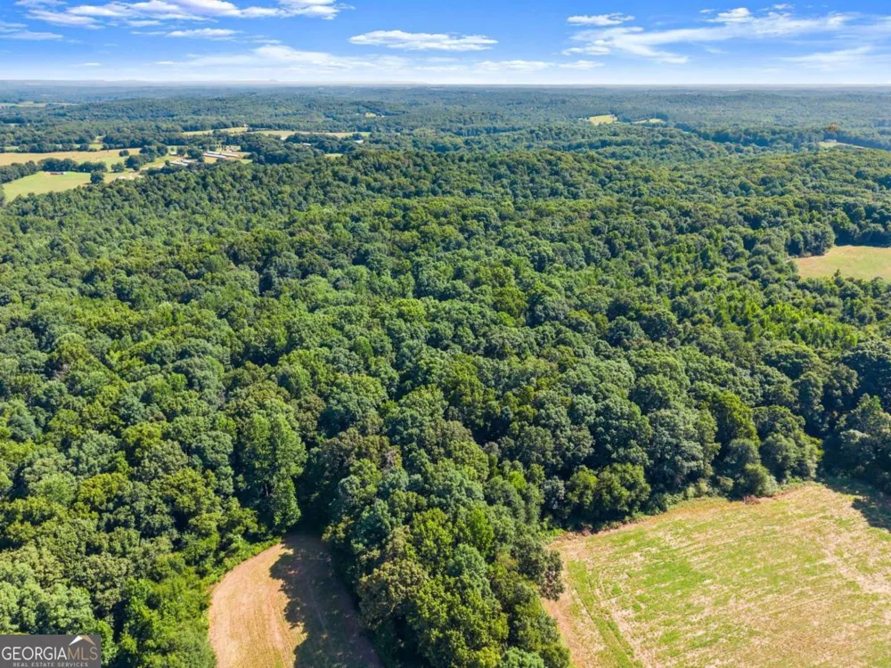 0 Prospect RD Carnesville, GA 30521