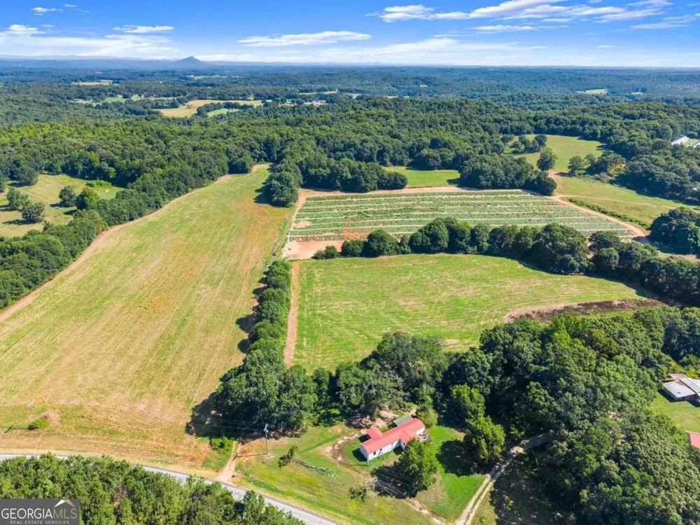 0 Prospect RD Carnesville, GA 30521