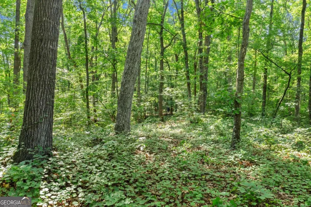 0 Prospect RD Carnesville, GA 30521