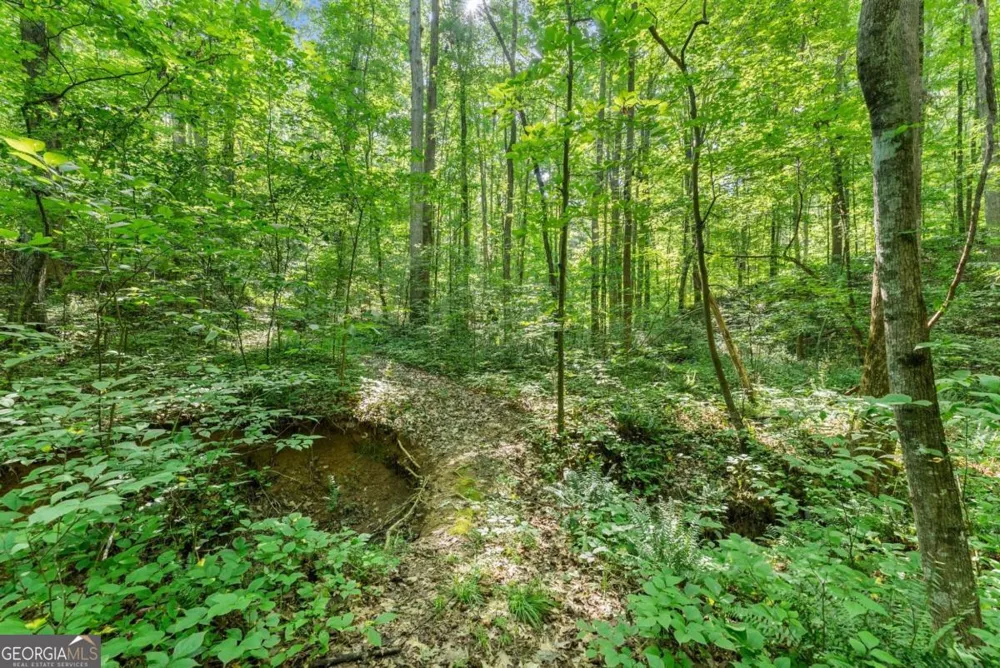 0 Prospect RD Carnesville, GA 30521