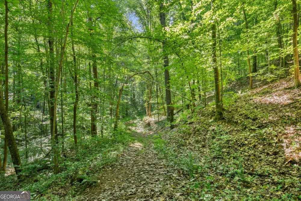 0 Prospect RD Carnesville, GA 30521