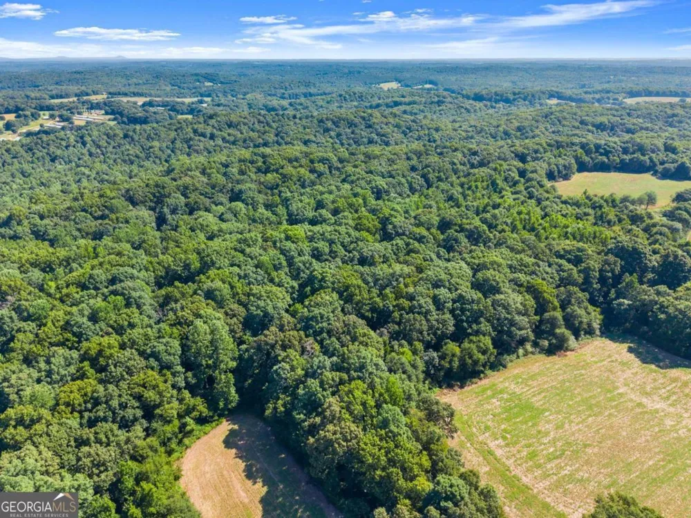 0 Prospect RD Carnesville, GA 30521