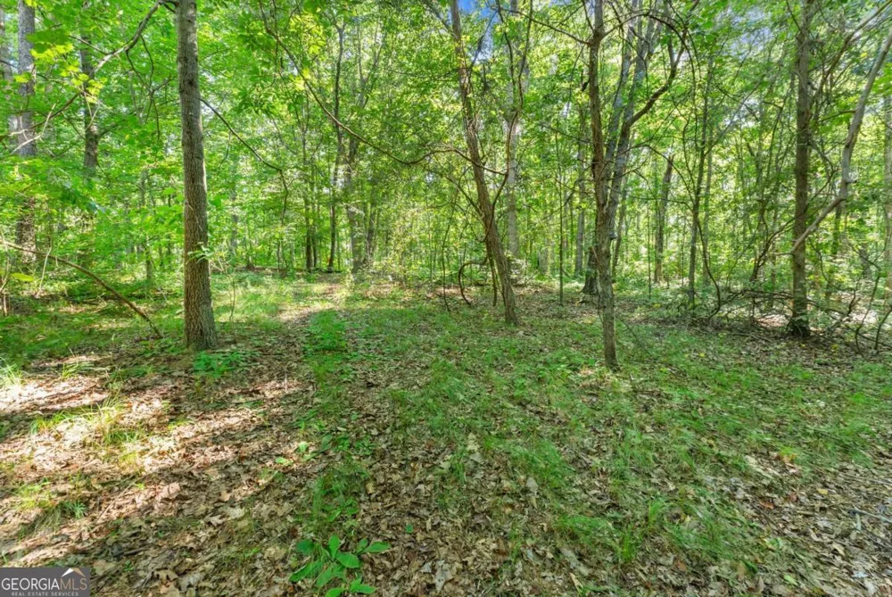 0 Prospect RD Carnesville, GA 30521