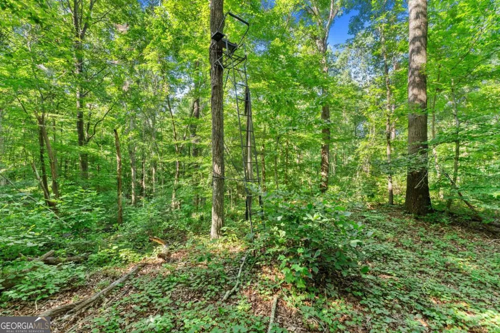 0 Prospect RD Carnesville, GA 30521