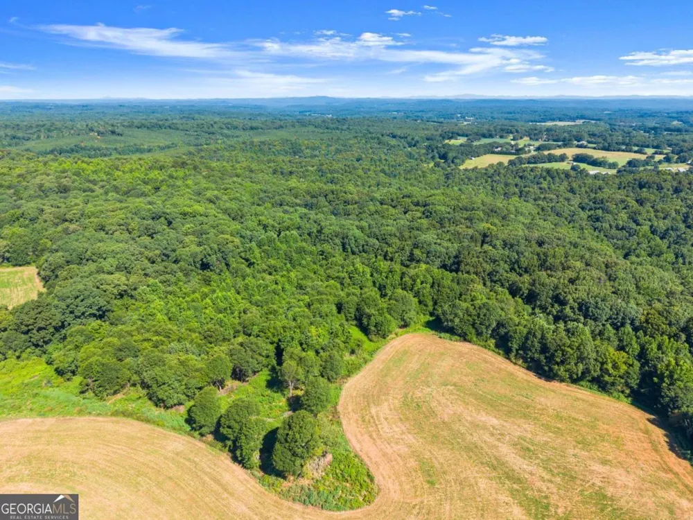 0 Prospect RD Carnesville, GA 30521