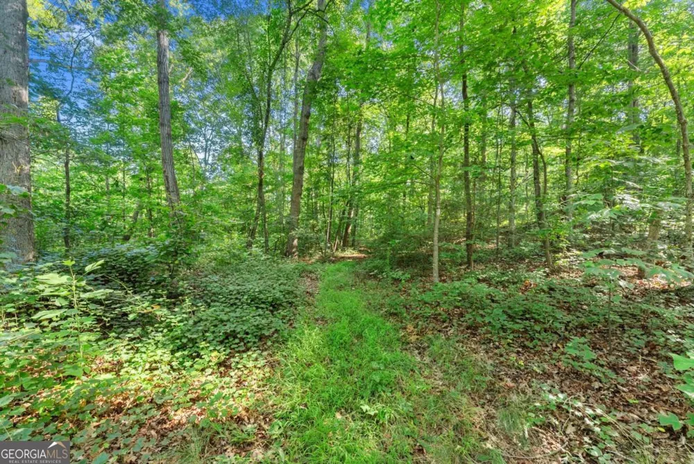 0 Prospect RD Carnesville, GA 30521