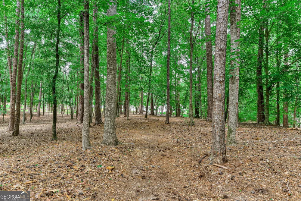 1697 Broad River Scenic DR Tignall, GA 30668