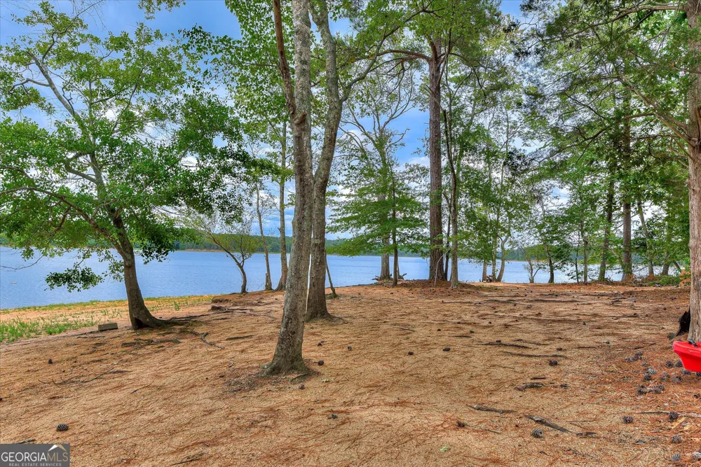 1697 Broad River Scenic DR Tignall, GA 30668