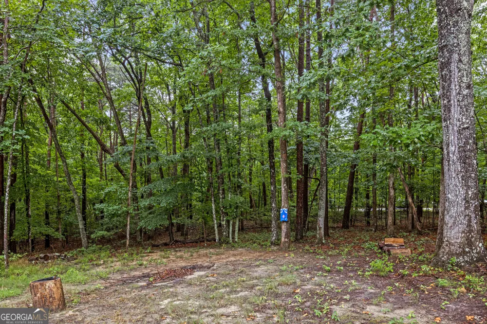 65 Eagle Bluff RD Menlo, GA 30731