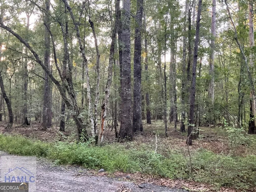 0 Cherry LN Hinesville, GA 31313